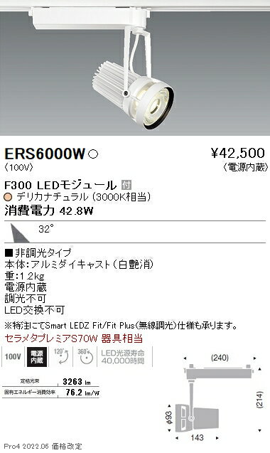 6/5ݥȺ9(+SPU)ERS6000W ƣ ݥåȥ饤 F300 ǥꥫ 