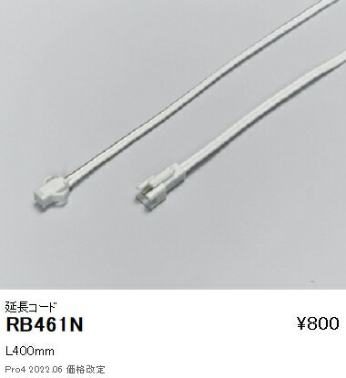【6/5ポイント最大9倍(+SPU)】RB461N 遠
