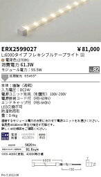 ERX2599027 遠藤照明 防湿防水テープライト L6000タイプ 2700K【電源ユニット別売】