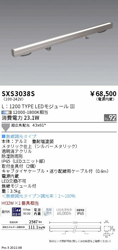 【6/1ポイント最大7倍(+SPU)】SXS3038S 