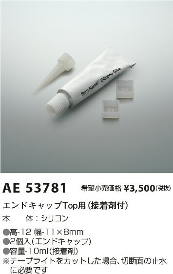 AE53781 コイズミ照明 エンドキャップTop用 2個入 接着剤付【適合機具注意】