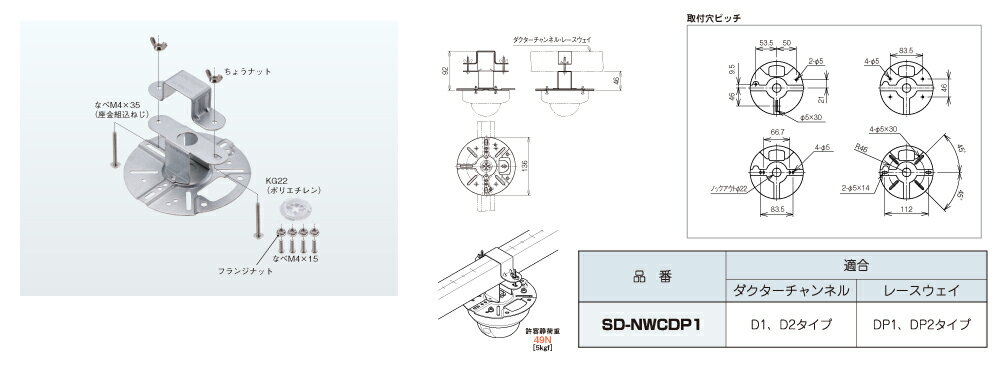 SD-NWCDP1 ネグロス ネットワークカメ