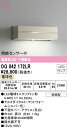 OG042172LR オーデリック 明暗センサー付LED表札灯 電球色