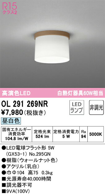 OL291269NR オーデリック LED小型シーリングライト 昼白色