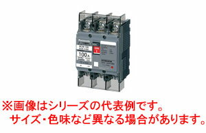 【旧品番】BCW3100K パナソニック サーキットブレーカー BCW-100型 3P3E 100A モータ保護兼用【他店舗併売品】