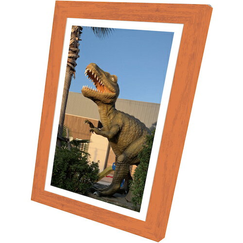 BRATT200A ブレイン 飾るアート非常用トイレ(大)10回分+アートポスター12種セット Aタイプ 4個入