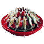 DKV43001 TKG キンカ 串焼ろばたコンロ 大