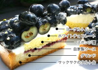 地元・信州の高原産ブルーベリーのタルト