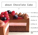 チョコレートケーキ with Crimson berry 14cm 誕生日ケーキ バースデーケーキ プレゼント スイーツ ホールケーキ ホワイトデー お返し 記念日 結婚記念日 ケーキ ギフト インスタ映え お取り寄せスイーツ 大人 子供 3