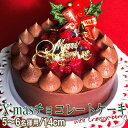 クリスマスケーキ 予約 2019 チョコレートケーキ with Crimson berry 14cm Xmasケーキ チョコレートケーキ クリスマス ケーキ 誕生日 バースデー 大人 子供 スイーツ 華やか お取り寄せ 通販 ギフト