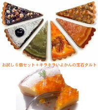【お試しセット】タルト6個セット+いよかんいっぺんに楽しめるとーってもお得なセット新しい美味しさ発見店長金井♪推薦タルト10P13Apr09