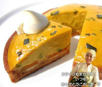 2025 季節限定 かぼちゃカスタードの金色タルト16cmハロウィン パンプキン かぼちゃ タルト 北海道産 九重栗カボチャ 生クリーム お取り寄せスイーツ お菓子 スイーツ 記念日 誕生日 ケーキ ギフト 贈り物 プレゼント