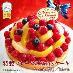 https://thumbnail.image.rakuten.co.jp/@0_mall/tart/cabinet/xmas-fruit/xmas-fruit16.jpg