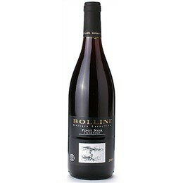  Bollini Trentino DOC Pinot Nero Riserva 750ml | ボッリーニ トレンティーノ ピノ ネーロ リゼルヴァ トレンティーノ アルト アディジェ州 赤ワイン ピノ ネーロ 100% 熟成により引き出されたニュアンスに富む