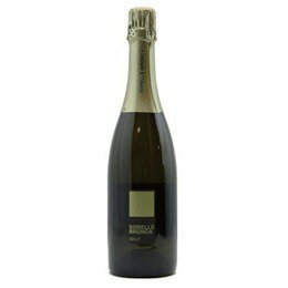 ڤɤ6ܰʾ塢̵ Sorelle Bronca Valdobbiadene Prosecco DOCG Superiore Brut 750ml | å ֥ ץå ֥å ͥȽ ѡ󥰥磻  100% 䤫ǱФ򴶤鿧äȤˢΩ