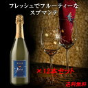 【送料無料】 Valli Brut VDT 750ml NV ×12本セット【同梱不可】| ヴァッリ ブリュット ピエモンテ州 11度 発泡白ワイン ガルガネーガ 100% 業務用 イベント イベント用 パーティー クリスマス 送料無料 スプマンテ スパークリング 数量限定 期間限定 ヴァッリ 100％