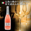 【よりどり6本以上、送料無料】 Canella Bellini NV 750ml | カネッラ ベリーニ ヴェネト州 ピーチ スプマンテ 桃 イベント イベント用 パーティー クリスマス カクテル もも Peach