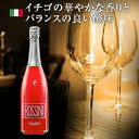 【よりどり6本以上 送料無料】 Canella Rossini CANDONGA NV 750ml カネッラ ロッシーニ カンドンガ ヴェネト州 ストロベリー スプマンテ 苺 イベント イベント用 パーティー クリスマス カクテル strawberry いちご イチゴ