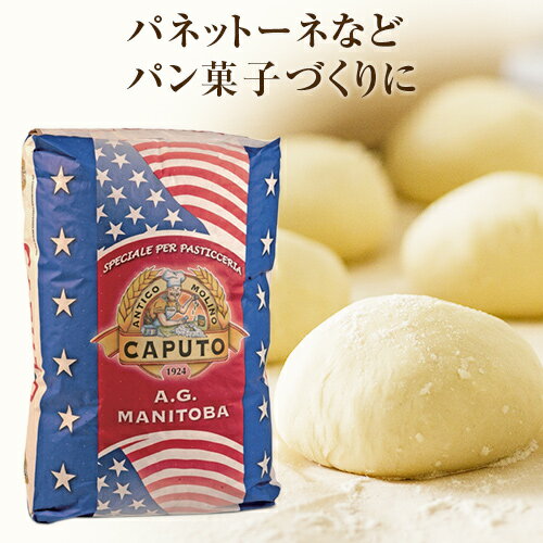 【送料無料】 【同梱不可】 カプート マニトバ ティーポ0 25kg【日時指定不可】【賞味25年9月14日】 | Caputo 大容量 業務用 粉 パン ピザ パスタ ケーキ お菓子作りなどに