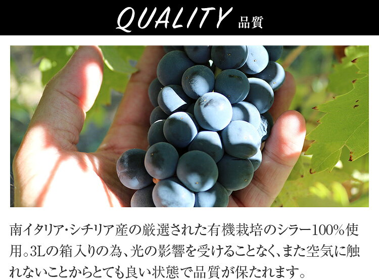 【エントリーでP10倍！7/19〜】INYCON イニコン オーガニック シラー (赤ワイン) 3000ml ボックスワイン【1個口6点まで】【総重量約3150g】 | バックインボックス イタリア Sicilia organic Syrah Italia【アルコール度数は変わる可能性も御座ます tartaruga-10003811 タルタルーガ サンプル画像3