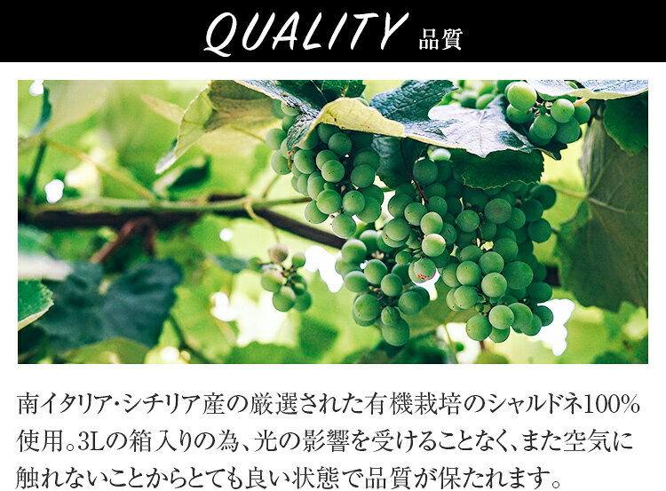 【エントリーでP10倍！7/19〜】INYCON イニコン オーガニック シャルドネ (白ワイン) 3000ml ボックスワイン【1個口6点まで】【総重量約3150g】 | イタリア Sicilia organic Chardonnay Italia【アルコール度数は変わる可能性も御座ます】 tartaruga-10003810 タルタルーガ サンプル画像3