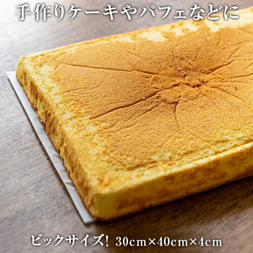 【冷凍】スポンジケーキシート プレーン 角 約30×40×3.5cm【1個口6枚まで】【数量限定】【6枚毎各個口送料有】｜誕生日｜結婚式｜バレンタイン｜お祝い｜手作りケーキ｜クリスマス｜クリスマスケーキ｜生地 | 冷凍ケーキ