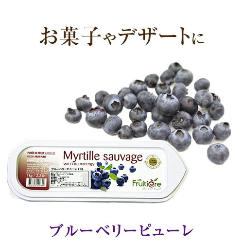 【冷凍】ラ フルティエール ブルーベリー ピューレ 1kg｜La Fruitiere フルーツピューレ デザート アイス ジェラート パフェ スイーツ blueberry 藍苺