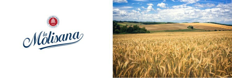 �顦��ꥵ���� ��γʴ�ڥ�ͥꥬ���� 500g | �ڥ�� �����ꥢ ���硼�� �ѥ��� ��̳��