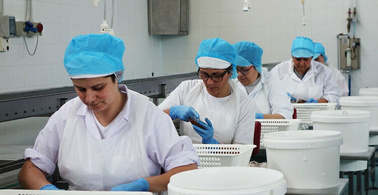 �ڥ��󥿥֥ꥳ���Υ������ӻ��ѡۥ���å� �������ӥڡ����� 60g��| �ѥ��� ���� �ԥåĥ� �����ɥ֥� ���Ĥޤ� �����ꥢ