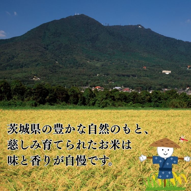 茨城県 こしひかり 100％ 5kg　〈コシヒカリ〉