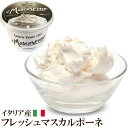 【冷蔵】ラッテリエ マスカルポーネ 500g 【フレッシュ・本場イタリア産】【賞味期限2024年5月6日】Latterie Venete Mascarpone｜ カフォルム ジャパン イタリア チーズ ティラミス 製菓 ドルチェ