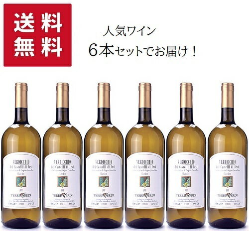 【送料無料 6本セット】1500ml Terre Verdi Verdicchio dei Castelli di Jesi Classico DOC Magnum 【同梱不可】 | マグナム テッレ ヴェルディ ヴェルディッキオ デイ カステッリ イエージ マルケ州