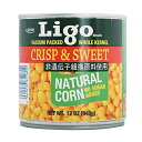 Ligo z[R[ AJY@#4iŌ`285g e340gj bS[ ʋl Ƃ낱 gERV X[p[XC[goL[R[