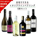 【冷蔵】【2週間限定】【セミナー参加者様限定】自宅でできるイタリアワインペアリング6本セット【送料無料】【同梱不可】 | ワイン wine vino 赤ワイン ...