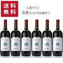 【送料無料 6本セット】1500ml Terre Verdi Rosso Piceno DOC Magnum 【同梱不可】 | マグナム テッレ ヴェルディ ロッソ ピチェーノ マルケ州 赤ワイン モンテプルチアーノ サンジョヴェーゼ