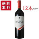  DUCA DI SALAPARUTA Corvo Rosso IGT 750ml | ドゥーカ ディ サラパルータ コルヴォ ロッソ シチリア州 赤ワイン ネーロ ダーヴォラ ネレッロ マスカレーゼ