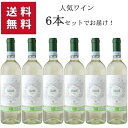 【送料無料 6本セット】Sartori Soave Organic DOC 750ml | サルトリ ソアーヴェ オーガニック ヴェネト州 白ワイン ガルガネーガ トレッビアーノ ビオロジック 化学肥料を一切使用せずに育てたブドウから造られたソアーヴェ