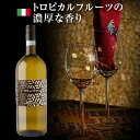  1500ml Vini del Moro Trebbiano d’Abruzzo DOC | マグナム ヴィーニ デル モーロ トレッビアーノ ダブルッツォ アブルッツォ州 白ワイン トレッビアーノ 100% イタリア モロ 麦わらイエロー色。