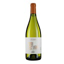 yǂ6{ȏAz Santa Barbara VERDICCHIO dei Castelli di Jesi DOC 750ml | T^oo FfBbLI JXeb fB CF[W }PB C FfBbLI P̂Xg[CG[BÎ_ςƂقꂳۓIB