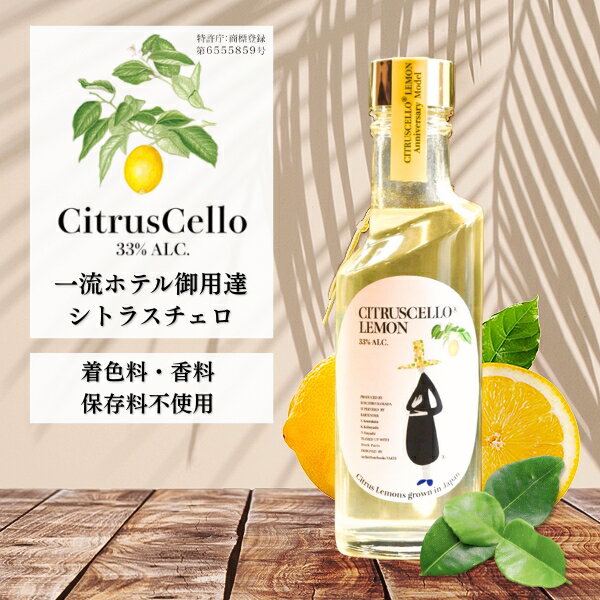 ◆【よりどり6本以上、送料無料 】 