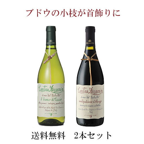 楽天タルタルーガ◆【2本セットでお得！】【送料無料】Zaccagnini Tralcetto Montepulciano 750ml ＆ Zaccagnini Bianco di Ciccio 750ml 飲み比べ2本セット｜赤白 イタリア 注目 産地 アブルッツオ アブルッツォ 旨い かわいい 可愛い カワイイ 小枝