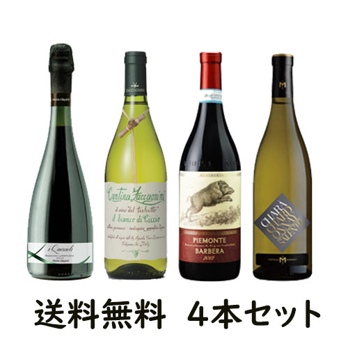 Castello Monaci Chara ＆ Ermete Quercioli ＆ Zaccagnini Bianco di Ciccio ＆ Terre del Barolo Piemonte ｜シャルドネ ランブルスコ トレビアーノ バルベーラ ワインセット おうちワイン お得 パスタ パスタに合う