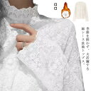 送料無料 レースインナー 総レース 長袖 ハイネック タートルネック 透かし メッシュ カットソー トップス 花柄レース 重ね着 プルオーバー シースルー 透け...