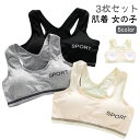 【3枚セット】ジュニアブラ 子供 ファーストブラ 女子 中学生 小学生 インナー かわいい ジュニア ハーフトップ スポーツブラ スポブラ ブラジャー ノンワイ...