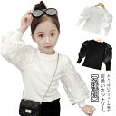 インナー 可愛い 子供服 袖レース 子供服 春秋 ロンT フリル衿 カットソー トップス バルーンスリーブ 長袖 女の子 可愛い 冬 あったか 100cm 長袖Tシャツ 110cm 130cm 120cm 150cm 140cm