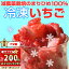 Ψ1/21200ݥȥХåۼǤत500g  ޤҤ ͭ   ࡼ ɹ  ɹ £ʪ