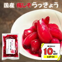 【1000ポキクーポン】【P2倍＆組合せ自由まとめ買いで最大10％オフ】『梅しそ らっきょう 130 ...