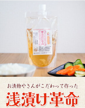 『浅漬け革命スタンドパック2袋セット』送料無料 樽の味 浅漬け 浅漬の素 浅漬の元 あさづけのもと 漬物 無添加 美味しい おいしい 健康 グルテンフリー 小麦不使用 メール便送料無料 食べ物 ギフト お取り寄せ 1000円 ポッキリ ポイント消化 お試し 敬老の日 敬老