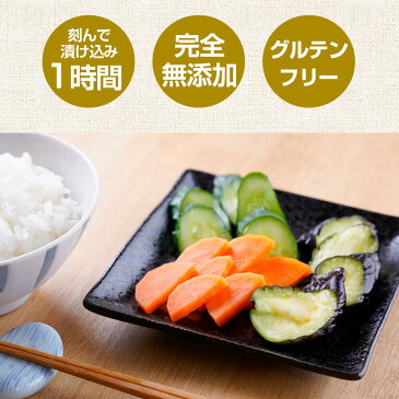 『浅漬け革命スタンドパック2袋セット』送料無料 樽の味 浅漬け 浅漬の素 浅漬の元 あさづけのもと 漬物 無添加 美味しい おいしい 健康 グルテンフリー 小麦不使用 メール便送料無料 食べ物 ギフト お取り寄せ 1000円 ポッキリ ポイント消化 お試し 敬老の日 敬老