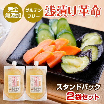 『浅漬け革命スタンドパック2袋セット』送料無料 樽の味 浅漬け 浅漬の素 浅漬の元 あさづけのもと 漬物 無添加 美味しい おいしい 健康 グルテンフリー 小麦不使用 メール便送料無料 食べ物 ギフト お取り寄せ 1000円 ポッキリ ポイント消化 お試し 敬老の日 敬老